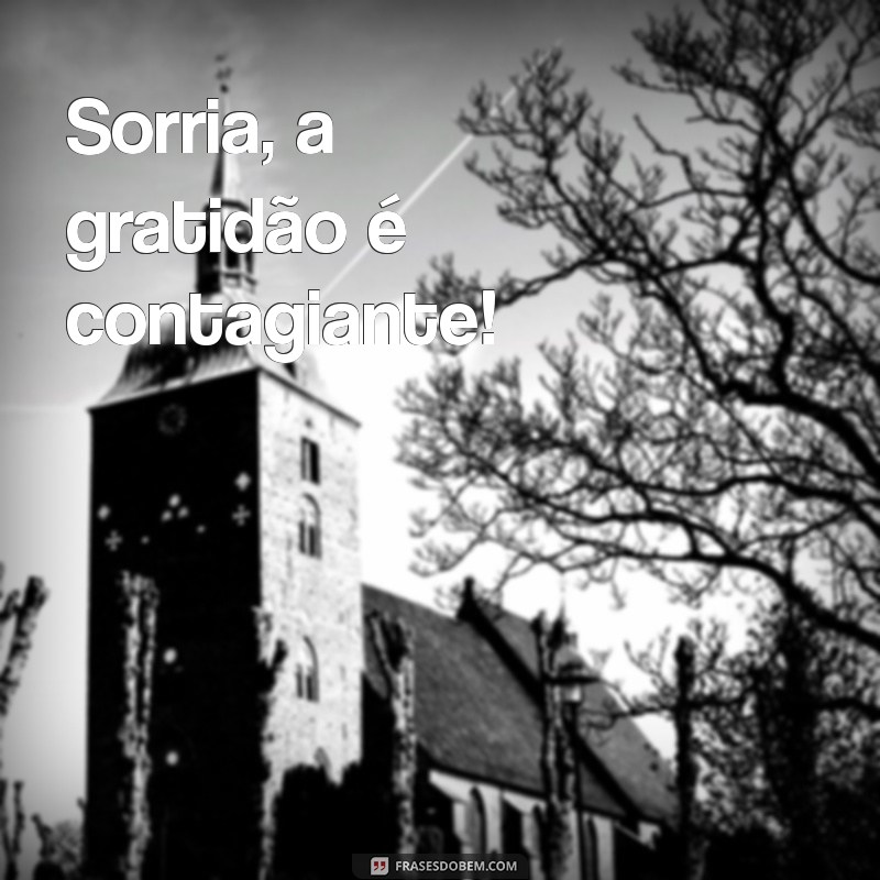 50 Frases Inspiradoras de Gratidão para Sua Bio do Instagram 