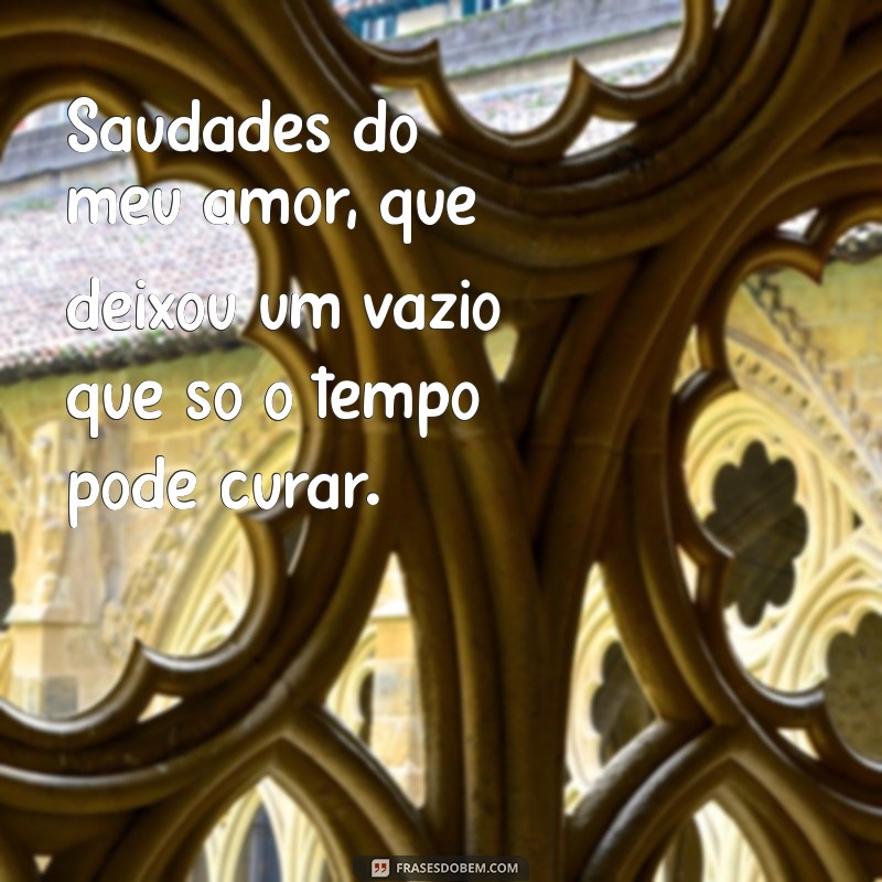 saudades do meu amor Saudades do meu amor, que deixou um vazio que só o tempo pode curar.