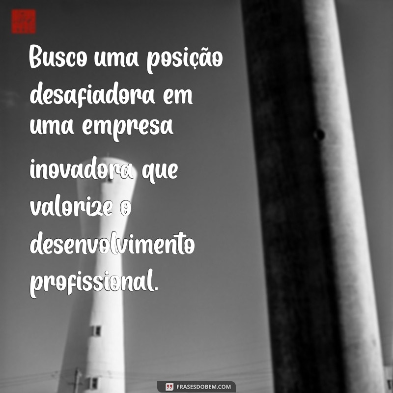 exemplos do que colocar no objetivo do currículo Busco uma posição desafiadora em uma empresa inovadora que valorize o desenvolvimento profissional.