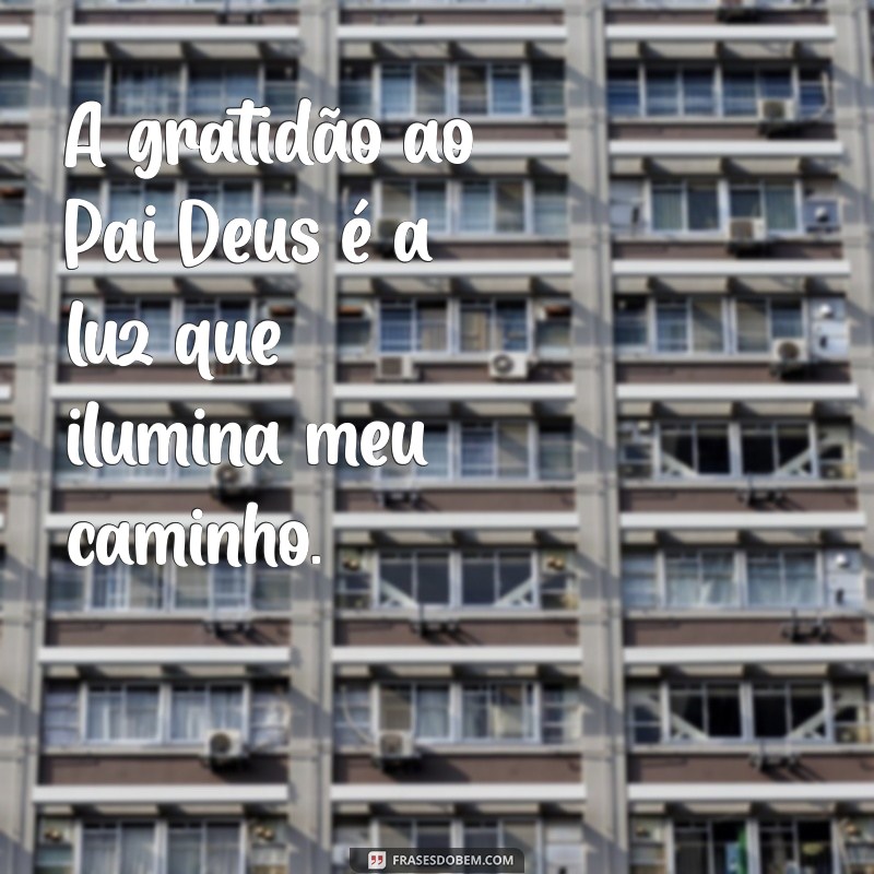 gratidão ao pai deus A gratidão ao Pai Deus é a luz que ilumina meu caminho.