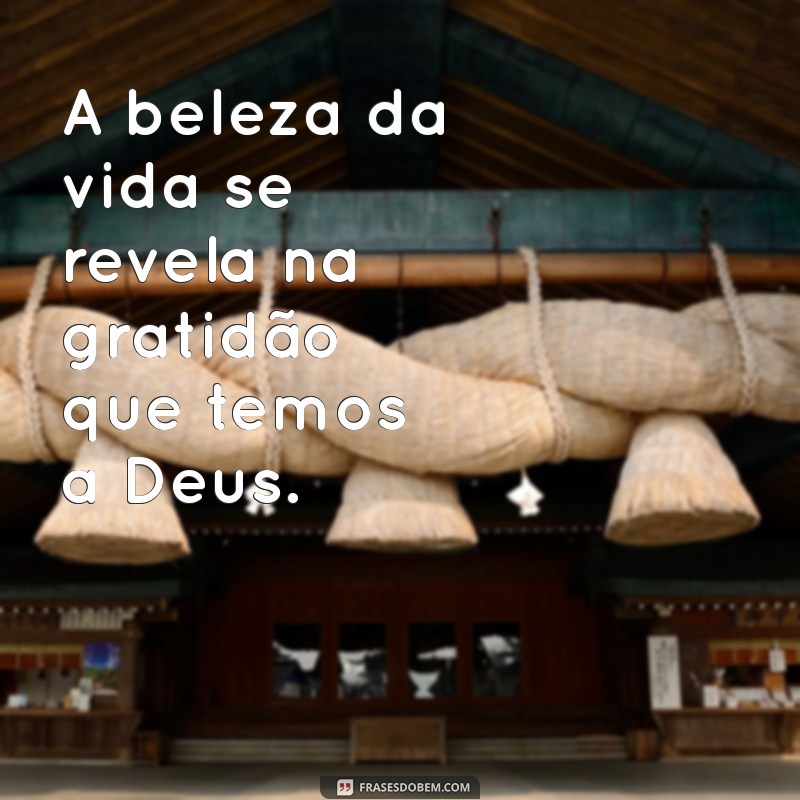 50 Frases Inspiradoras de Gratidão a Deus para Suas Fotos 