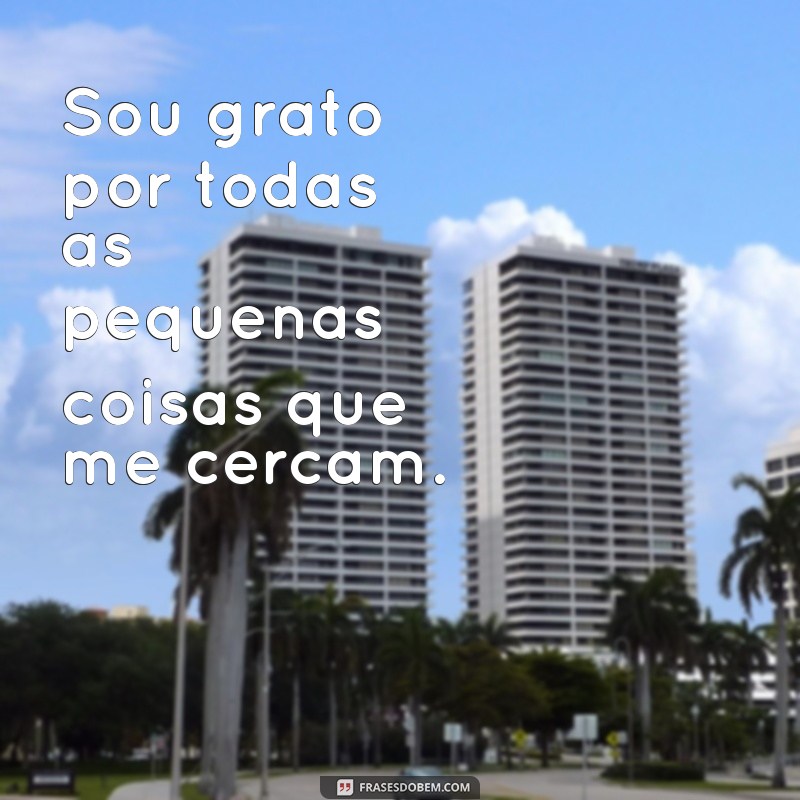 50 Frases Inspiradoras de Gratidão a Deus para Suas Fotos 