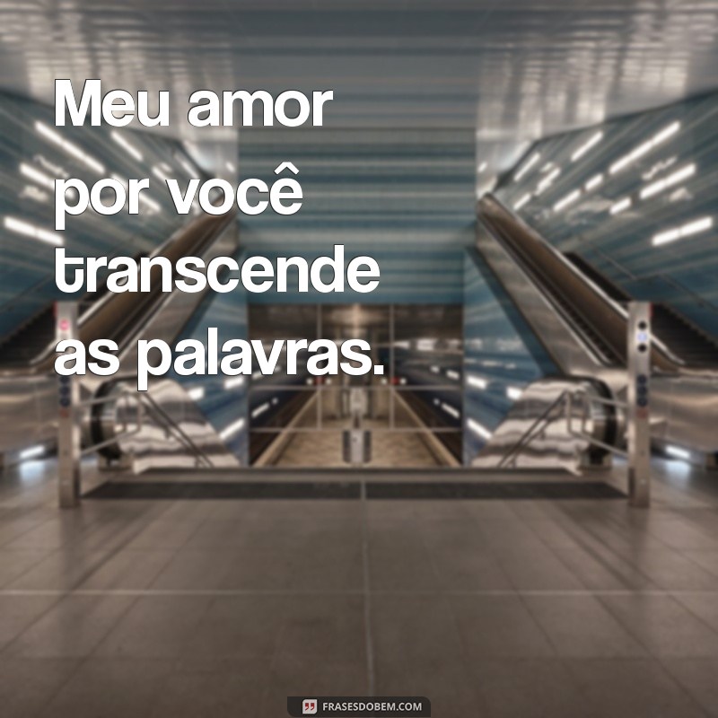 meu amor por você não tem explicação Meu amor por você transcende as palavras.