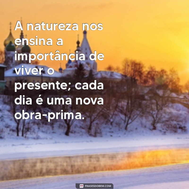 Frases Motivacionais Inspiradas na Natureza para Renovar sua Energia 