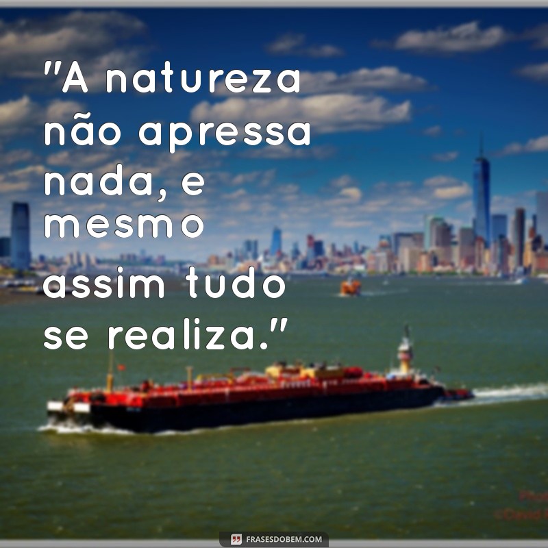 frases motivacional natureza 