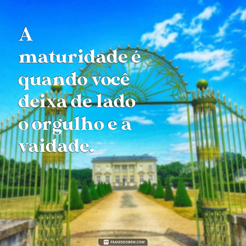 Descubra as melhores frases sobre maturidade para se inspirar 