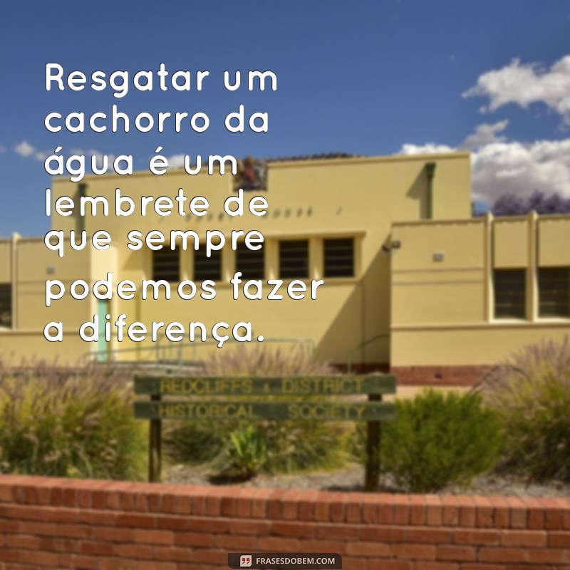 Significado dos Sonhos: O Que Representa Sonhar com Salvamento de Cachorro na Água? 