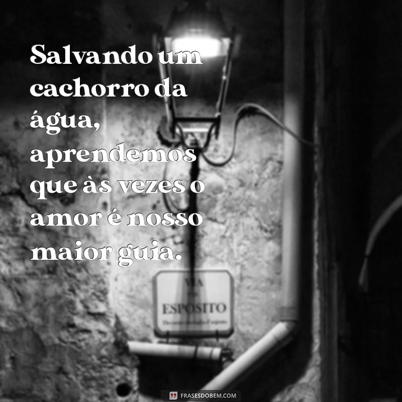 Significado dos Sonhos: O Que Representa Sonhar com Salvamento de Cachorro na Água? 