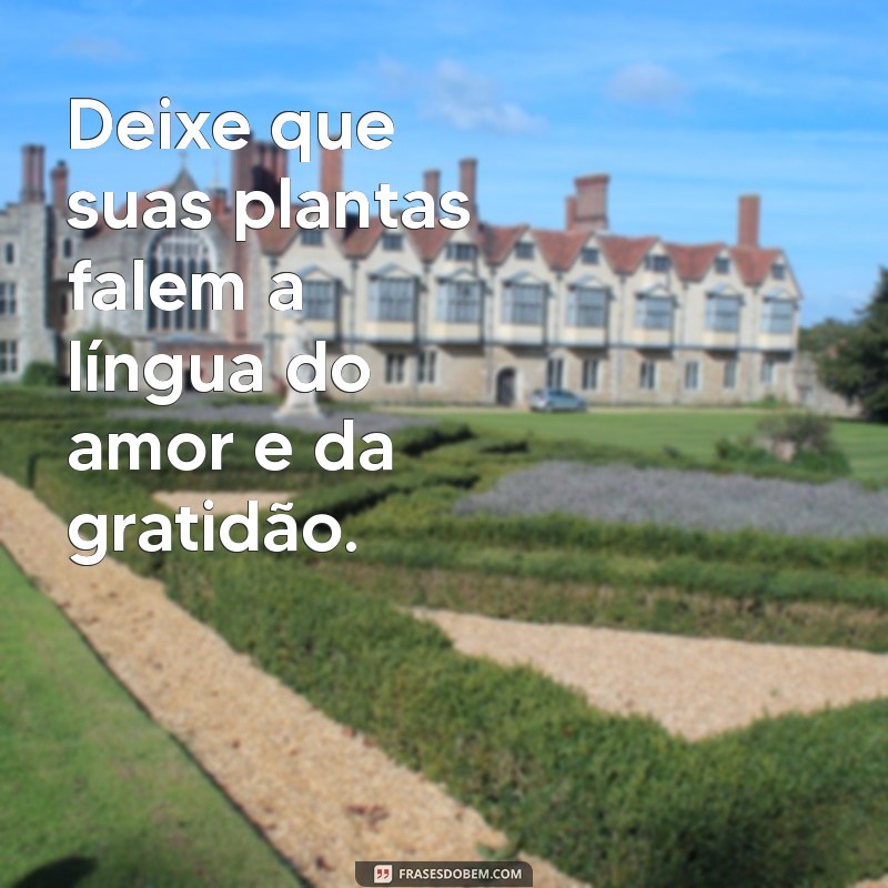 Frases Inspiradoras para Amantes de Plantas: Cultive sua Paixão Verde 