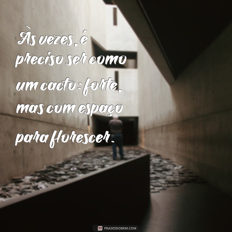 Top 20 Frases Inspiradoras com Cactos para Decorar Seu Dia 