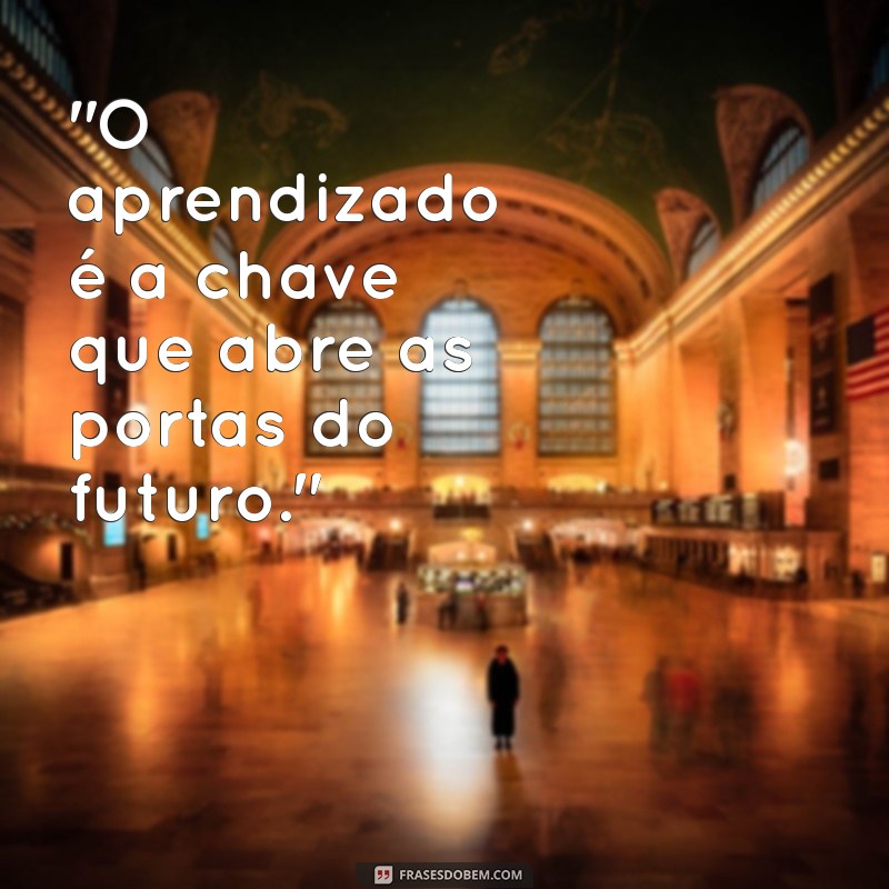 frases aprendizado 