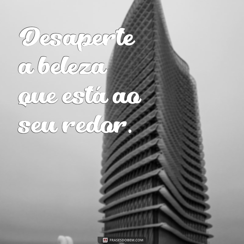 As Melhores Frases para Acompanhar Suas Fotos nas Redes Sociais 