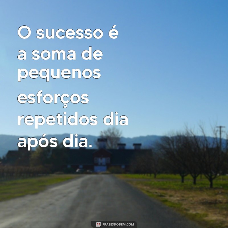 frases incentivo e motivação no trabalho O sucesso é a soma de pequenos esforços repetidos dia após dia.