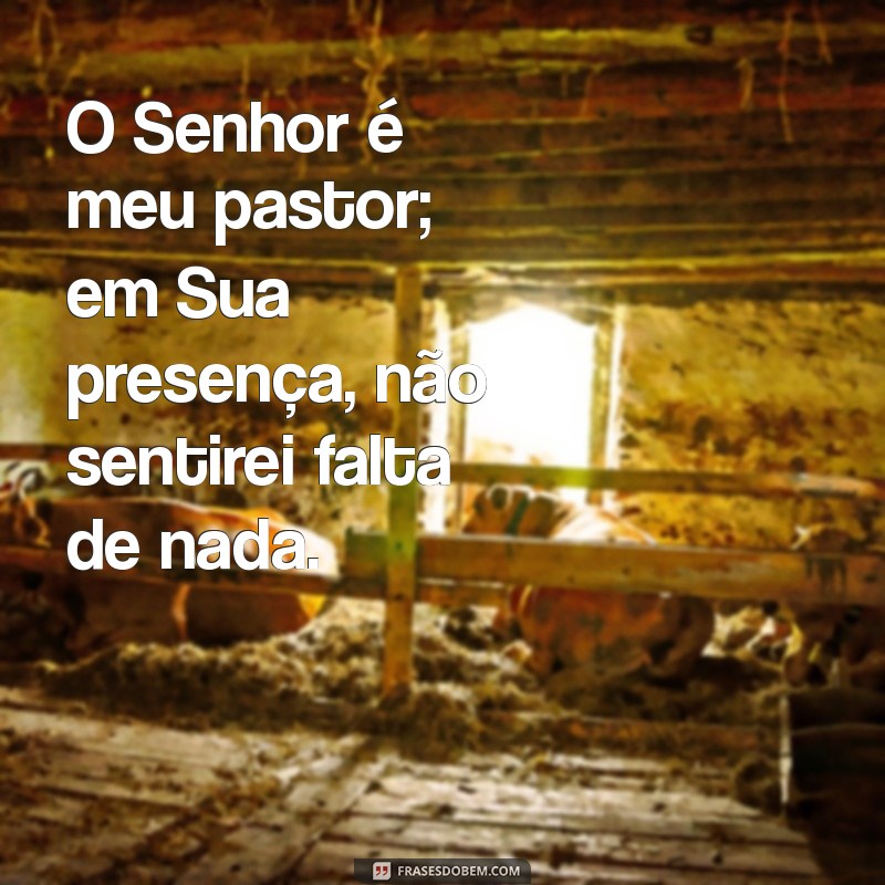 o senhor é meu pastor e nada me faltará frases O Senhor é meu pastor; em Sua presença, não sentirei falta de nada.