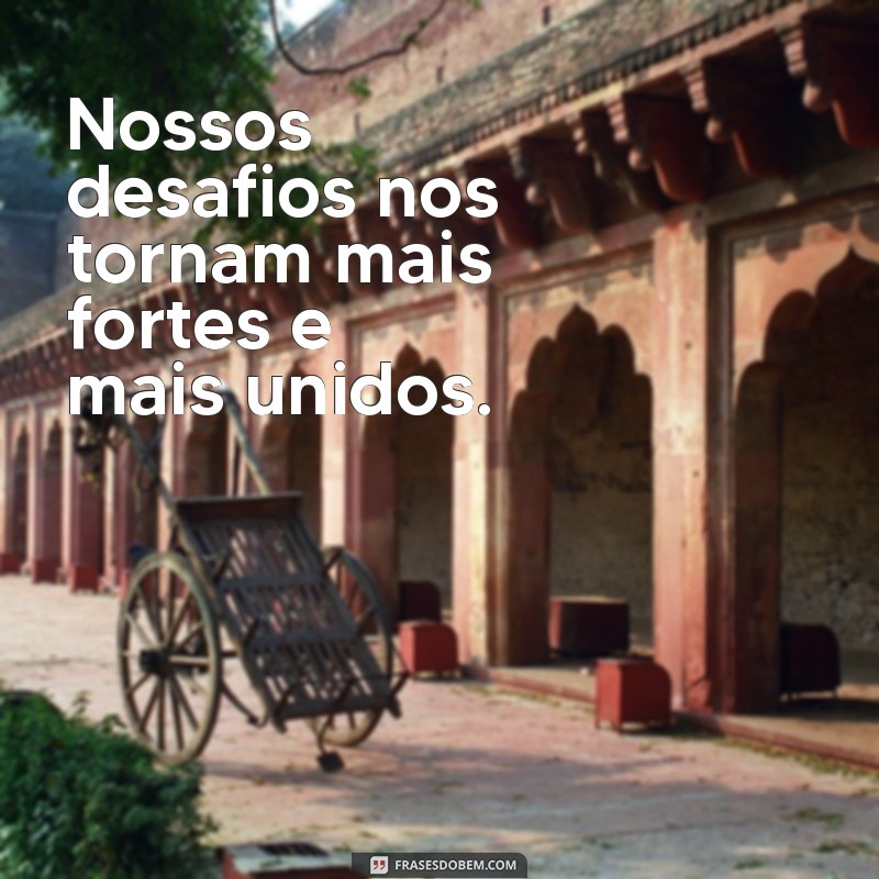 Frases Inspiradoras para Celebrar seu Time Campeão 