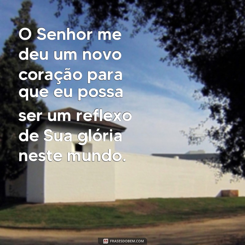 Descubra as melhores frases sobre o amor incondicional do Pai: Recebi um novo coração! 