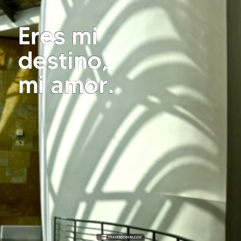 Descubra las más hermosas imágenes de amor con frases para enamorar 