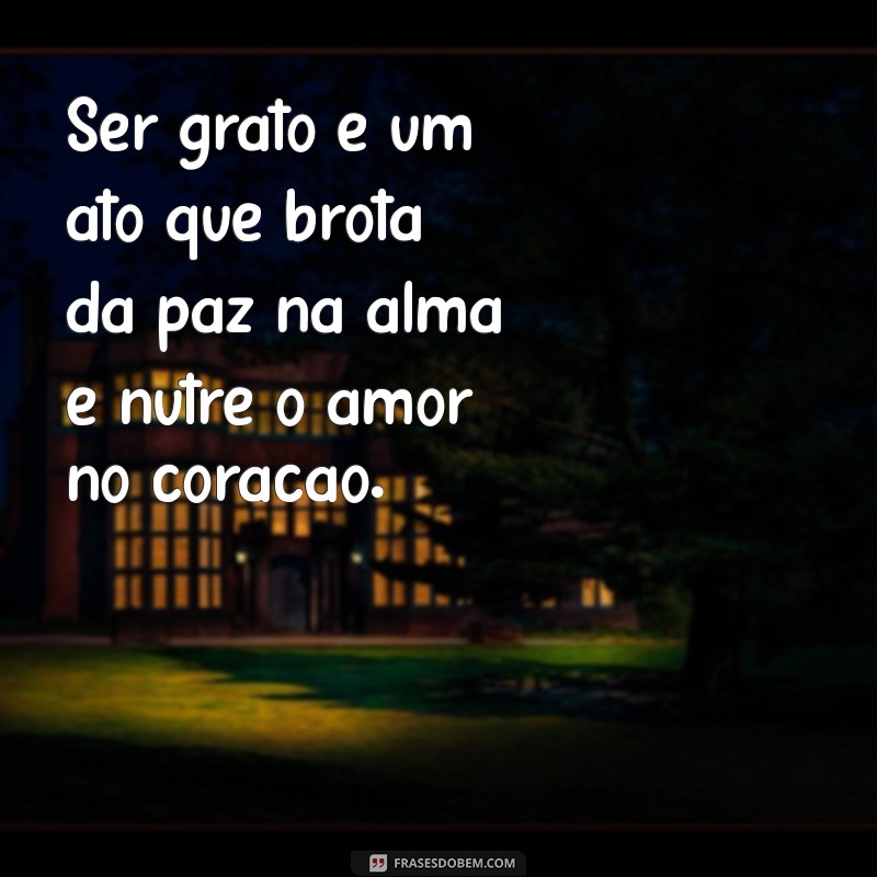 Encontre a Paz Interior: Cultivando Amor, Gratidão e Fé na Sua Jornada 