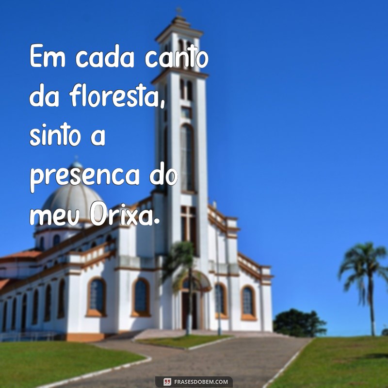 Frases Inspiradoras de Oxóssi para Status: Conecte-se com a Sabedoria da Natureza 