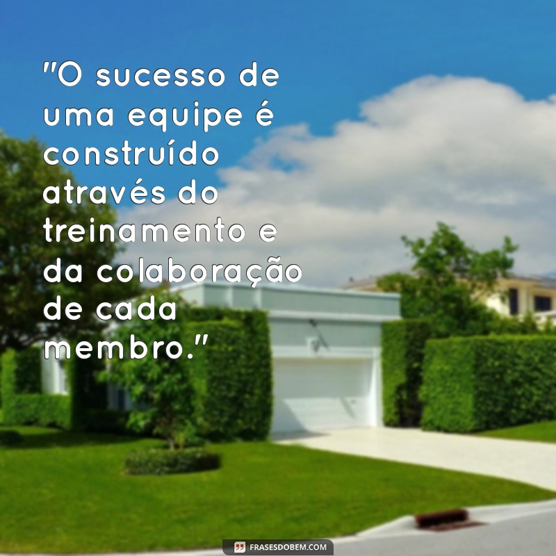 frases sobre treinamento de equipe 