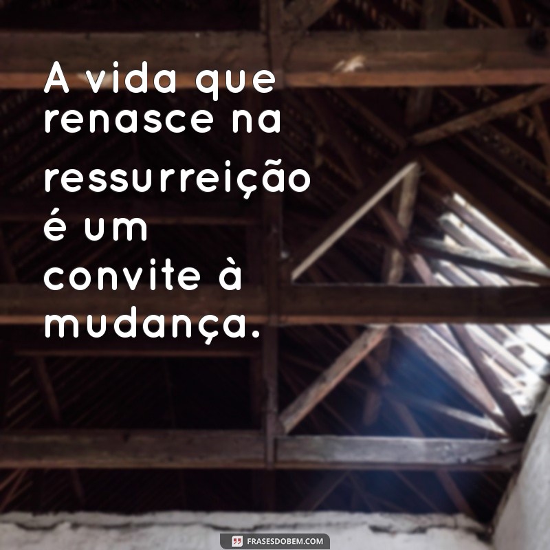 Frases Inspiradoras sobre a Ressurreição de Jesus: Reflexões de Fé e Esperança 