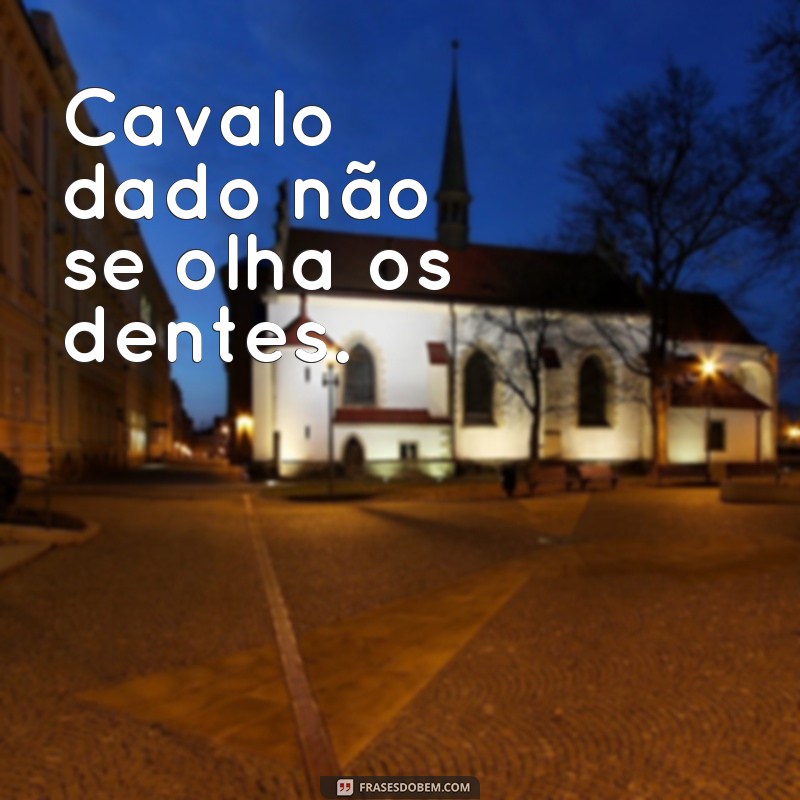 Descubra as melhores frases de senso comum para aplicar no seu dia a dia 