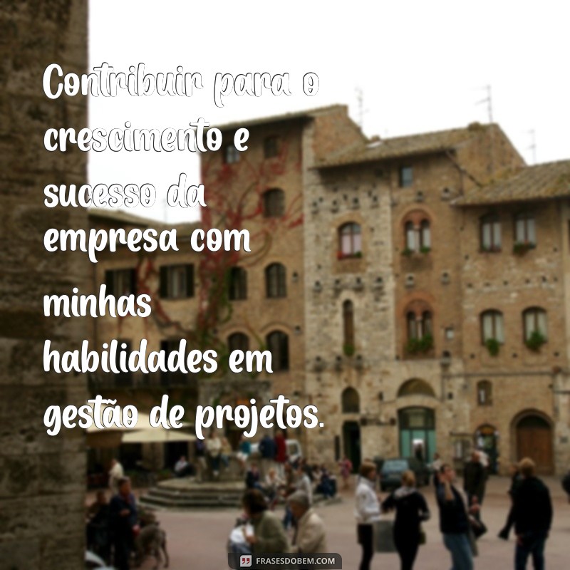 objetivo para pôr no currículo Contribuir para o crescimento e sucesso da empresa com minhas habilidades em gestão de projetos.