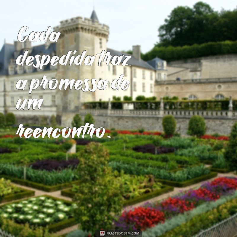 Frases Inspiradoras para Capturar Momentos Inesquecíveis 