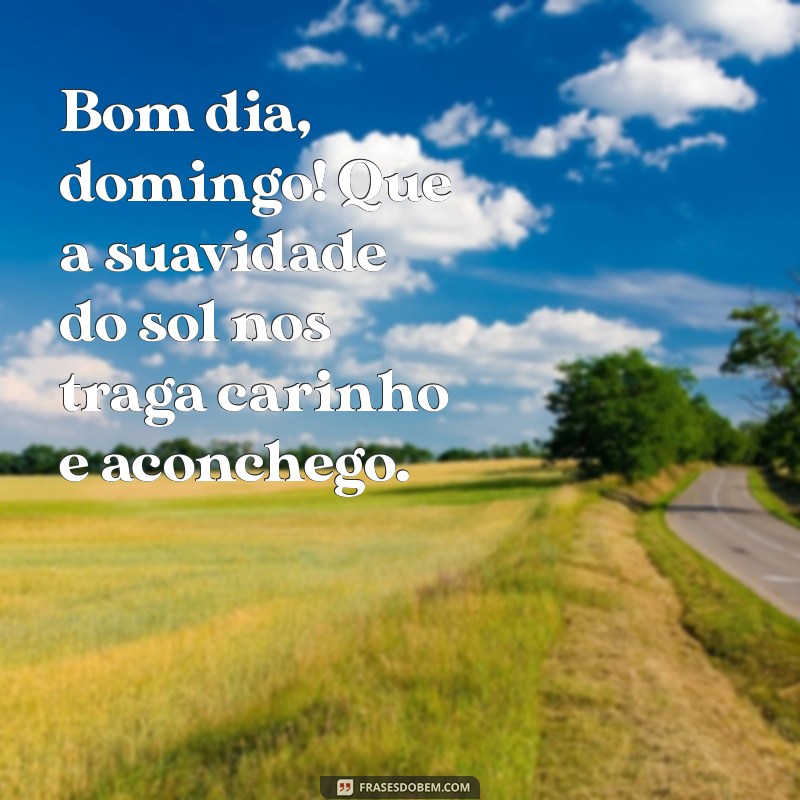 bom dia domingo fofo Bom dia, domingo! Que a suavidade do sol nos traga carinho e aconchego.