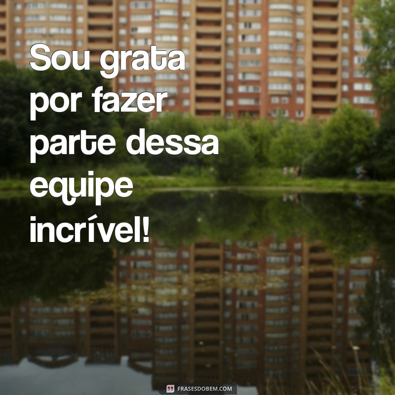 sou grata em fazer parte dessa equipe Sou grata por fazer parte dessa equipe incrível!