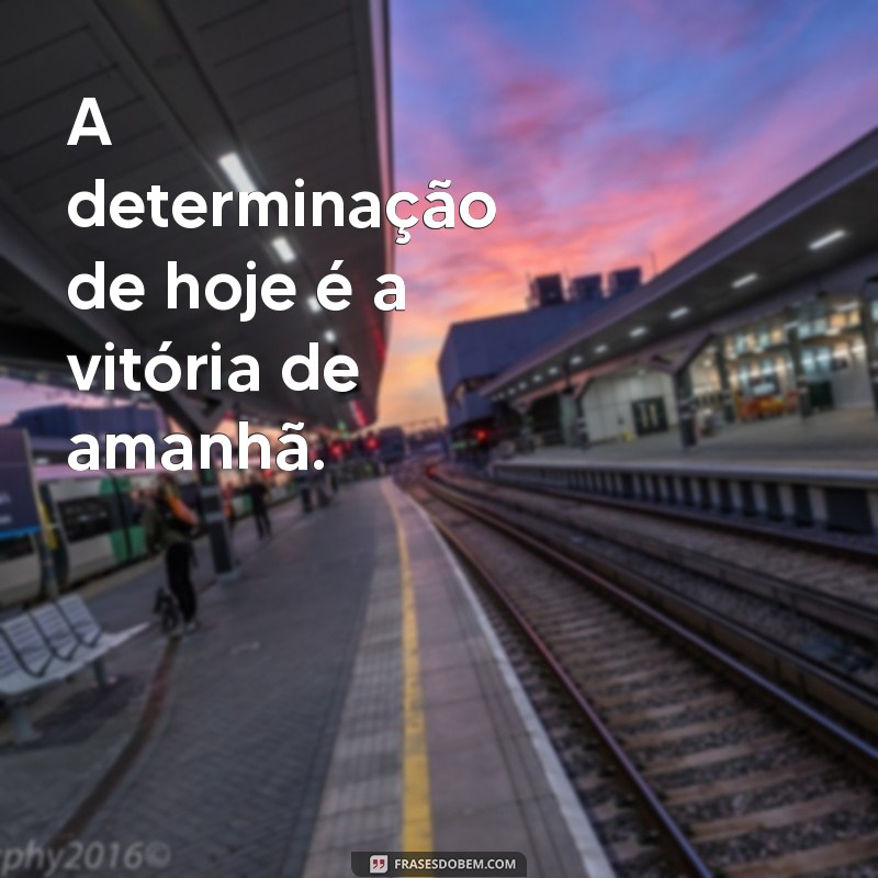 Frases Inspiradoras de Vencedores para Transformar Seu Status 