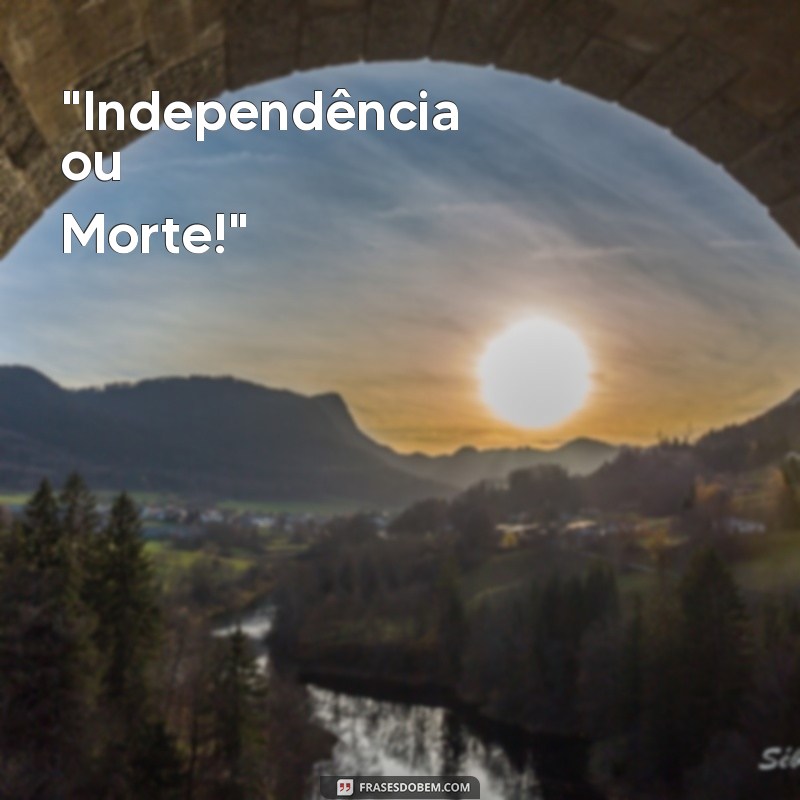 frases de dom pedro independência 