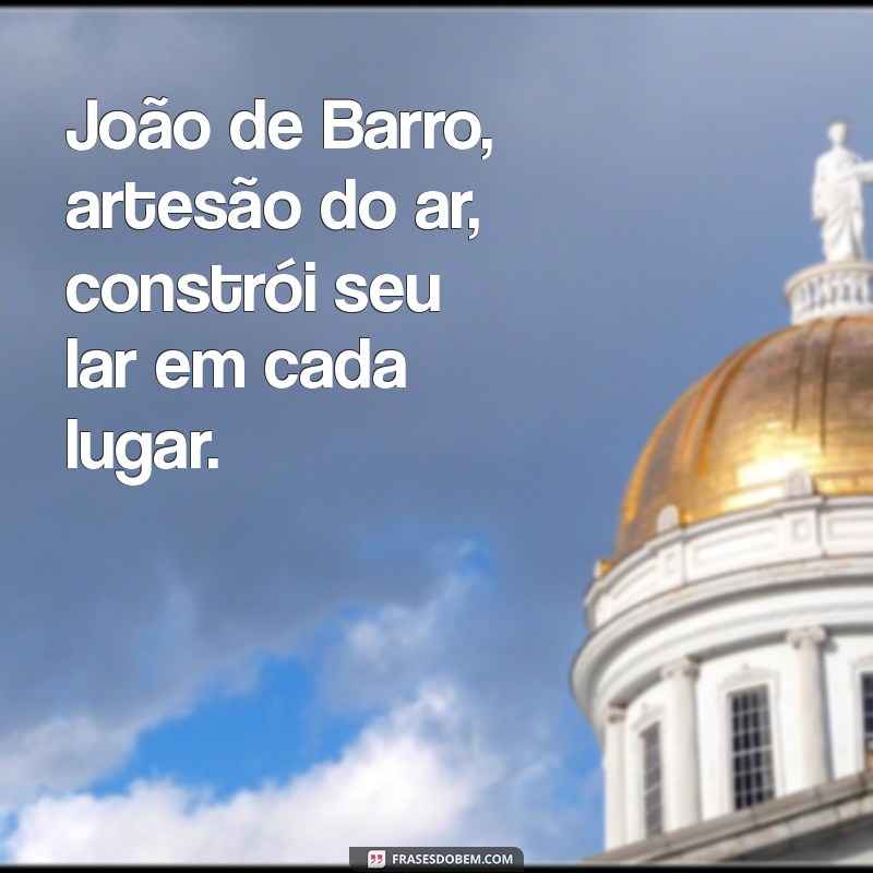 joão de barro letra João de Barro, artesão do ar, constrói seu lar em cada lugar.