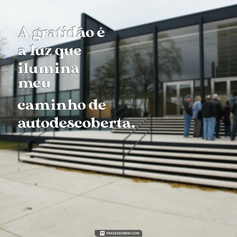 Como a Gratidão Transformou Minha Vida: A Jornada de Autodescoberta 