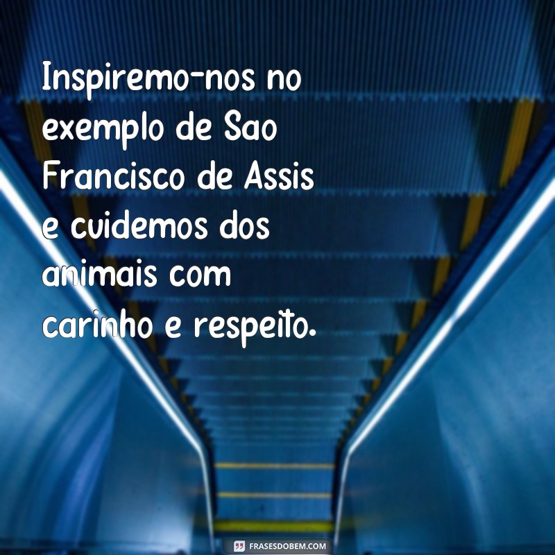 Conheça as melhores frases de São Francisco de Assis, o protetor dos animais 