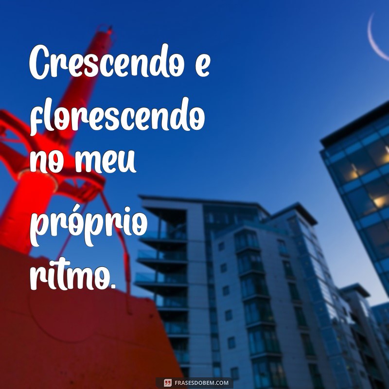 Frases Inspiradoras para Fotos Sozinha no Status do WhatsApp 