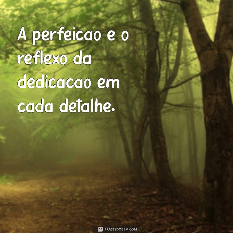 frases de perfeição A perfeição é o reflexo da dedicação em cada detalhe.