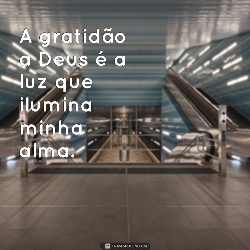 Frases Inspiradoras de Gratidão a Deus para Refletir e Compartilhar 