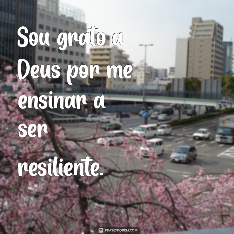 Frases Inspiradoras de Gratidão a Deus para Refletir e Compartilhar 