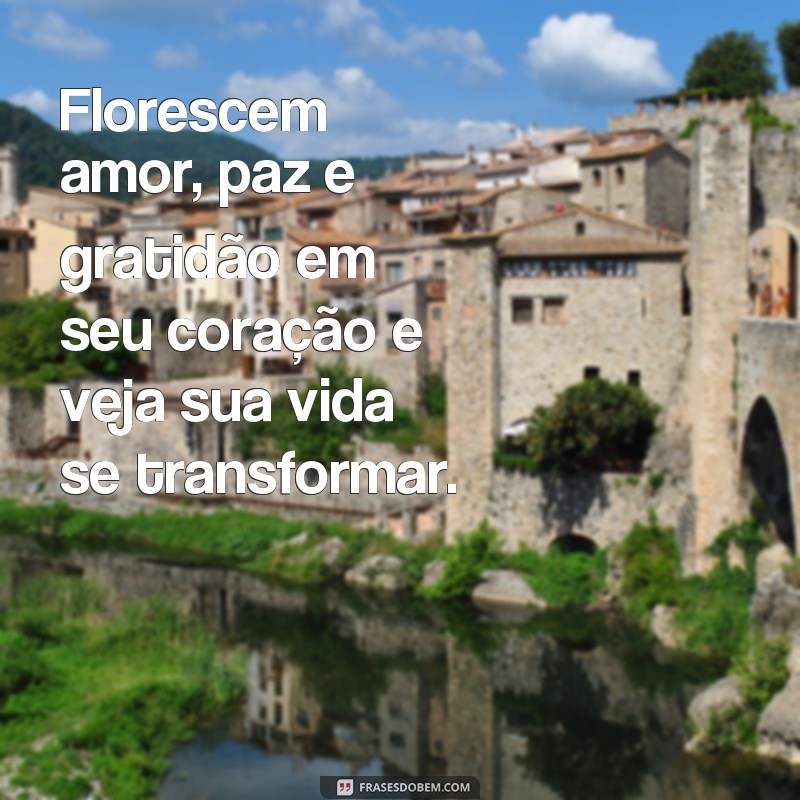 Descubra as mais belas frases inspiradoras da flor do dia para alegrar sua rotina 