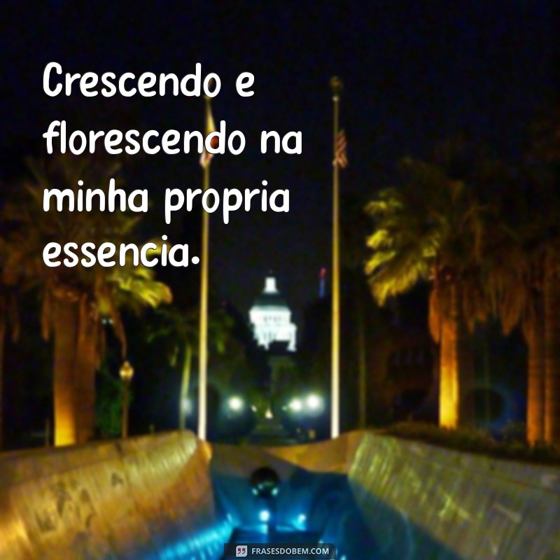 Frases Inspiradoras para Legendar Suas Fotos Sozinha no Feed 