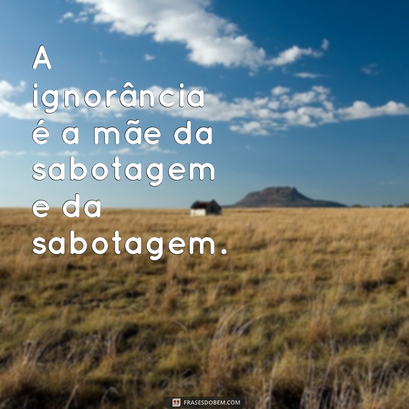 Descubra as melhores frases sobre ignorância e inspire-se! 