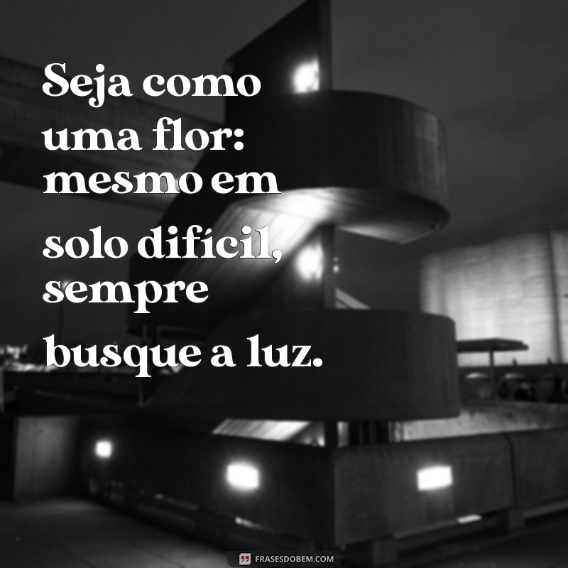 As 21 Frases Mais Lindas para Inspirar Seu Dia 