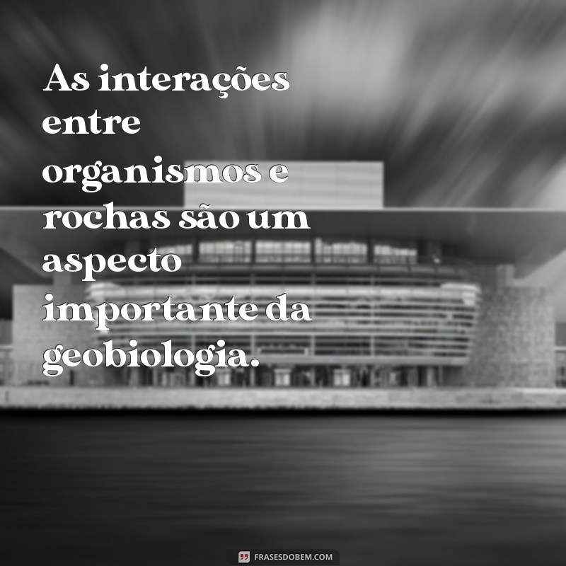 Intemperismo Biológico: Entenda o Processo e sua Importância na Natureza 