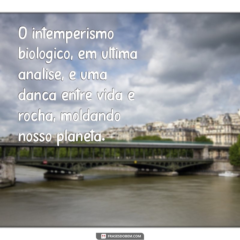 Intemperismo Biológico: Entenda o Processo e sua Importância na Natureza 