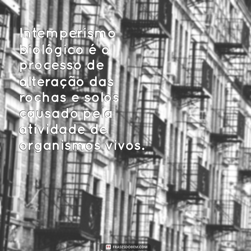 o que é intemperismo biológico Intemperismo biológico é o processo de alteração das rochas e solos causado pela atividade de organismos vivos.