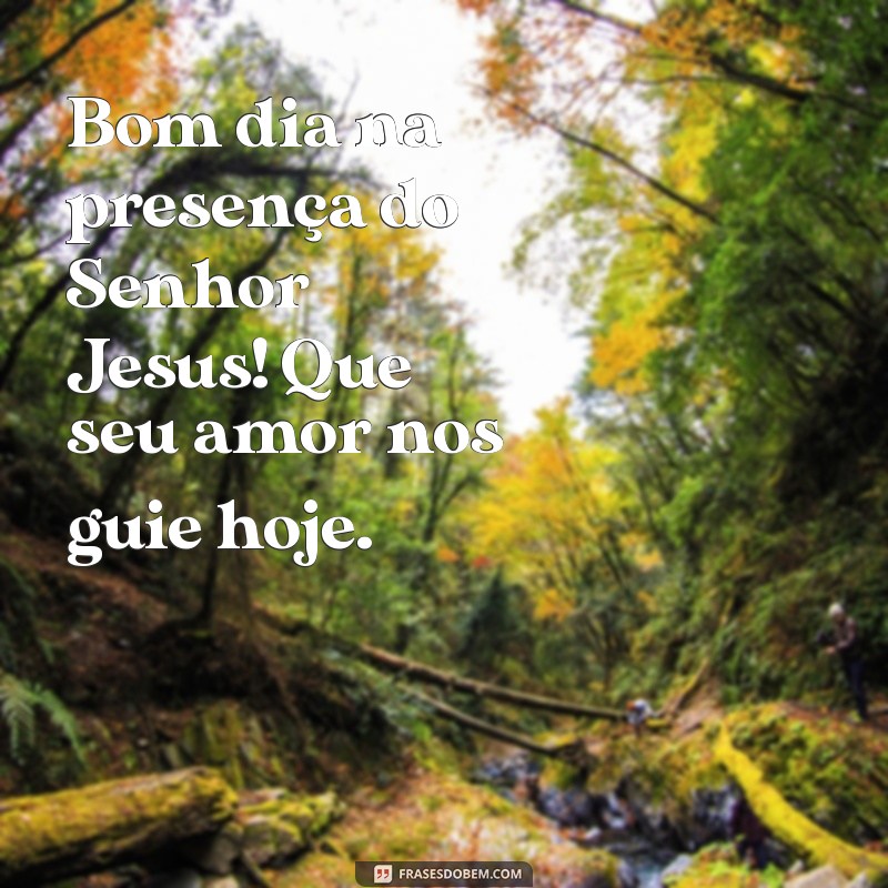 bom dia na presença do senhor jesus Bom dia na presença do Senhor Jesus! Que seu amor nos guie hoje.