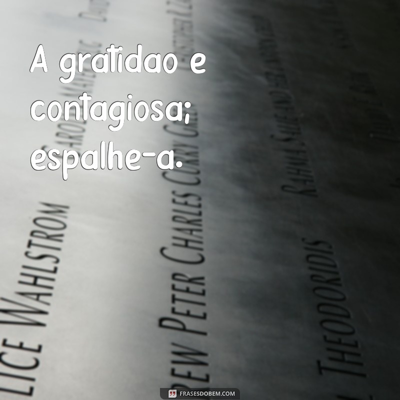 Como Ver Mensagens de Gratidão: Dicas para Reconhecer e Valorizar Gestos de Agradecimento 