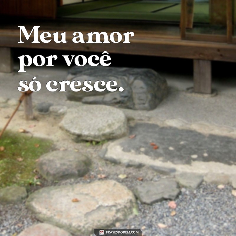 Frases Curtas de Amor: Declare Seu Sentimento com Simplicidade 