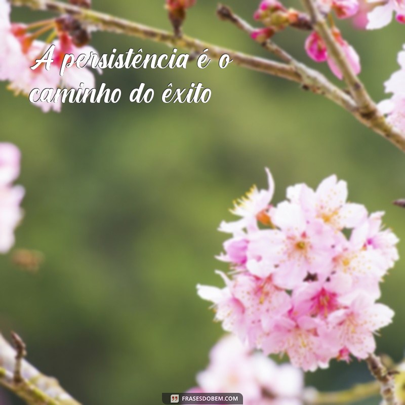 Frases de Motivação: Inspire-se com Palavras que Transformam 